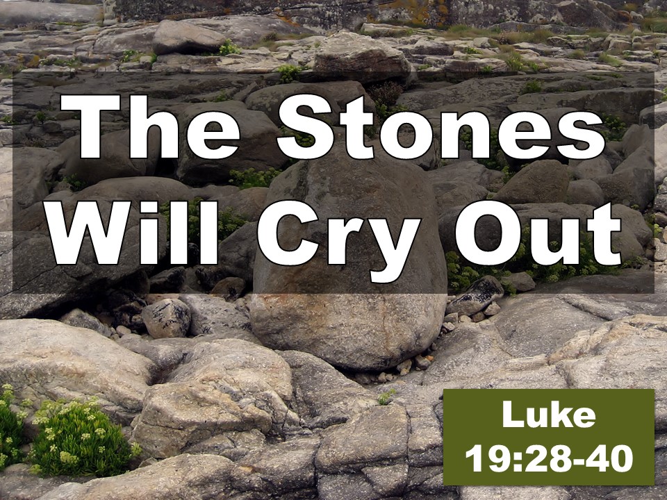 The Stones Will Cry Out - Trinity Greyabbey