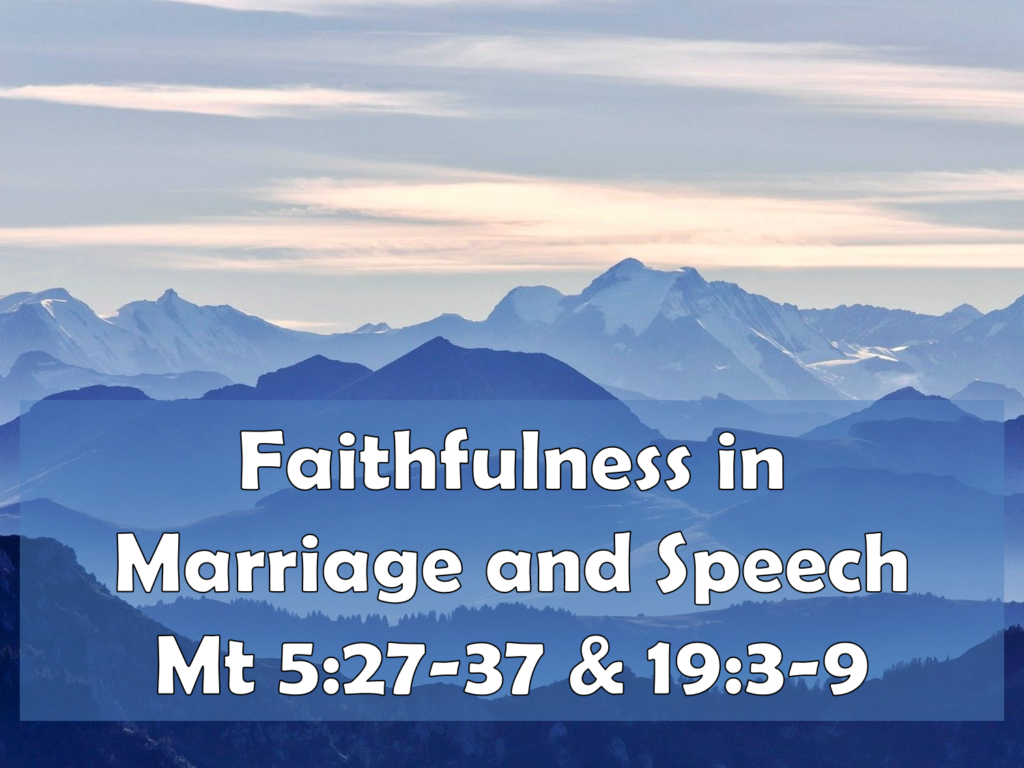 faithfulness-in-marriage-and-speech-trinity-greyabbey